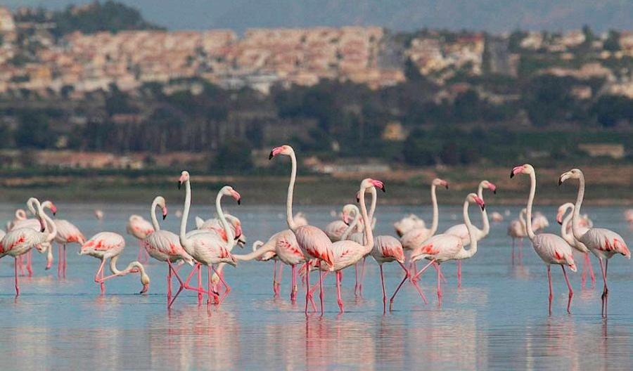Апартаменты В Парковой Зоне С Видом На Море La Mata  Exteriör bild